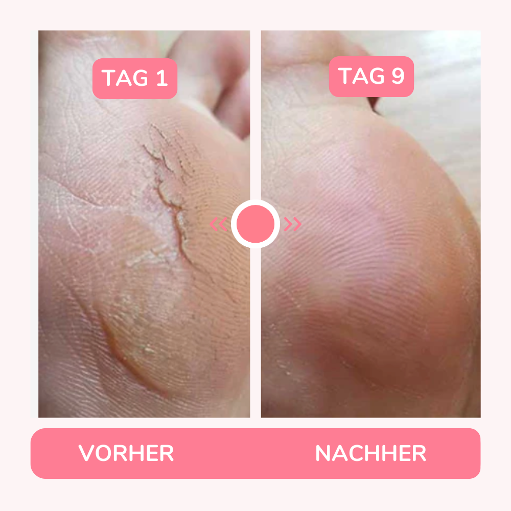 <p><strong>✨ TRÄUME WERDEN WAHR✨</strong></p>